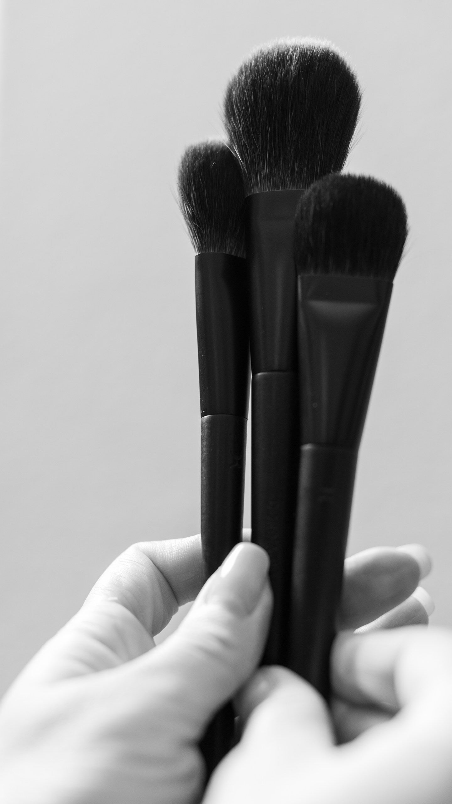 DOR COLLECTION (limited edition squirrel hair brush set for face)